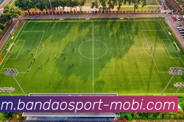 半岛体育APP 封面图